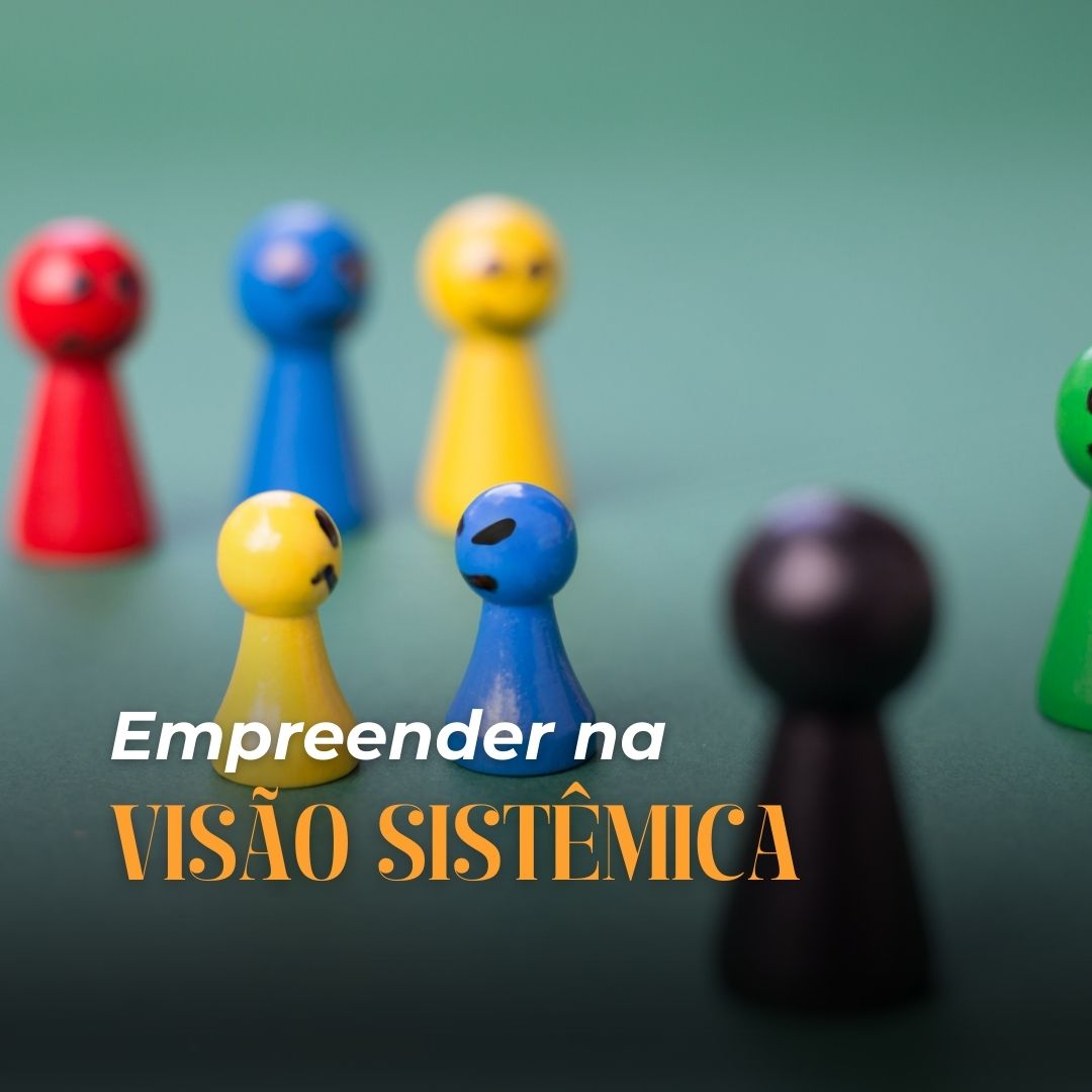 Empreender na visão sistêmica